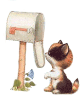 chat